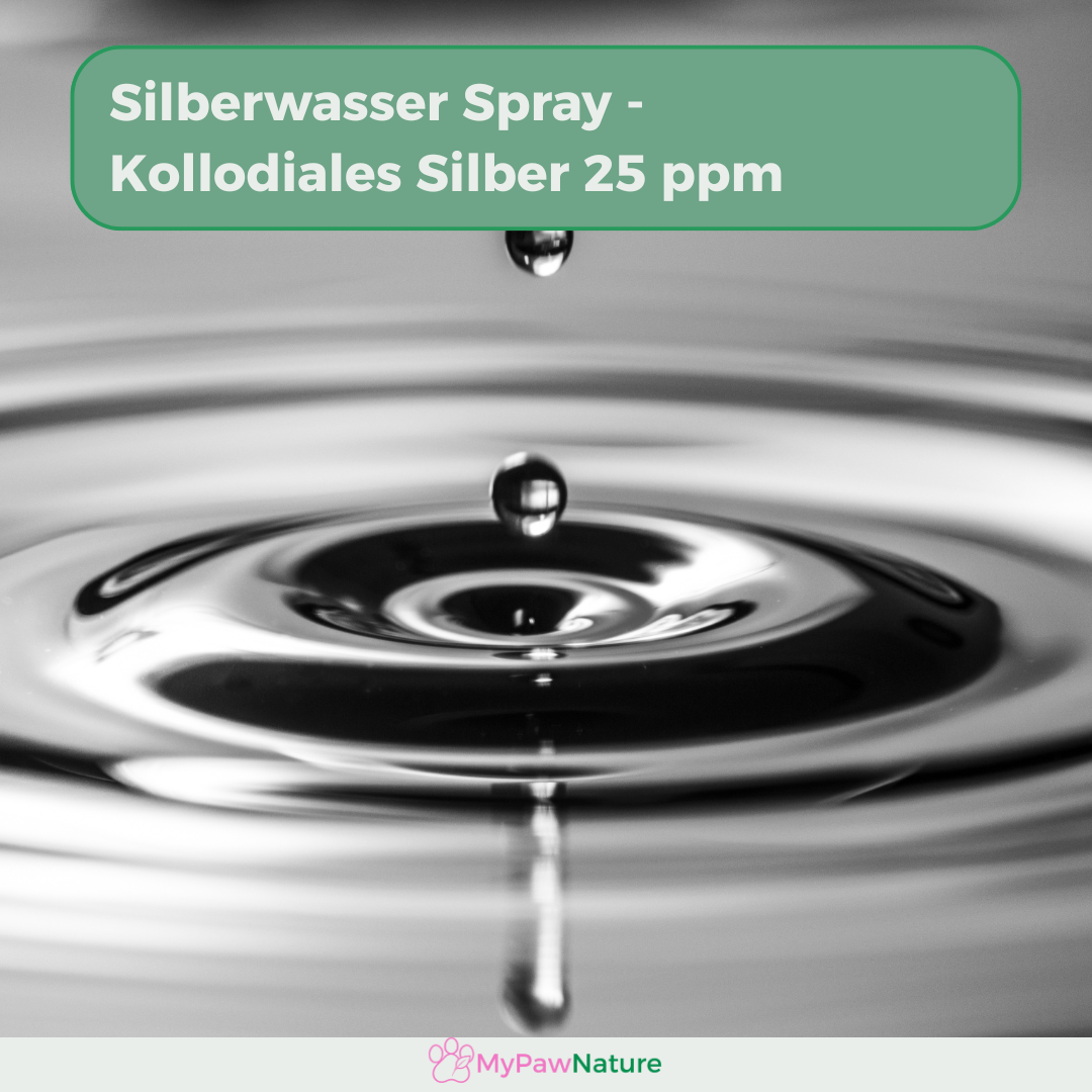 Silbersegen - Silberwasser Spray