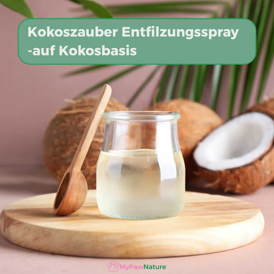 Kokoszauber Entfilzungs-Spray für Hunde & Katzen
