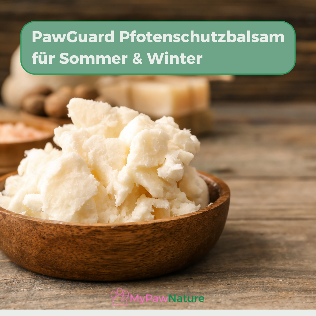 PawGuard - Pfotenbalsam