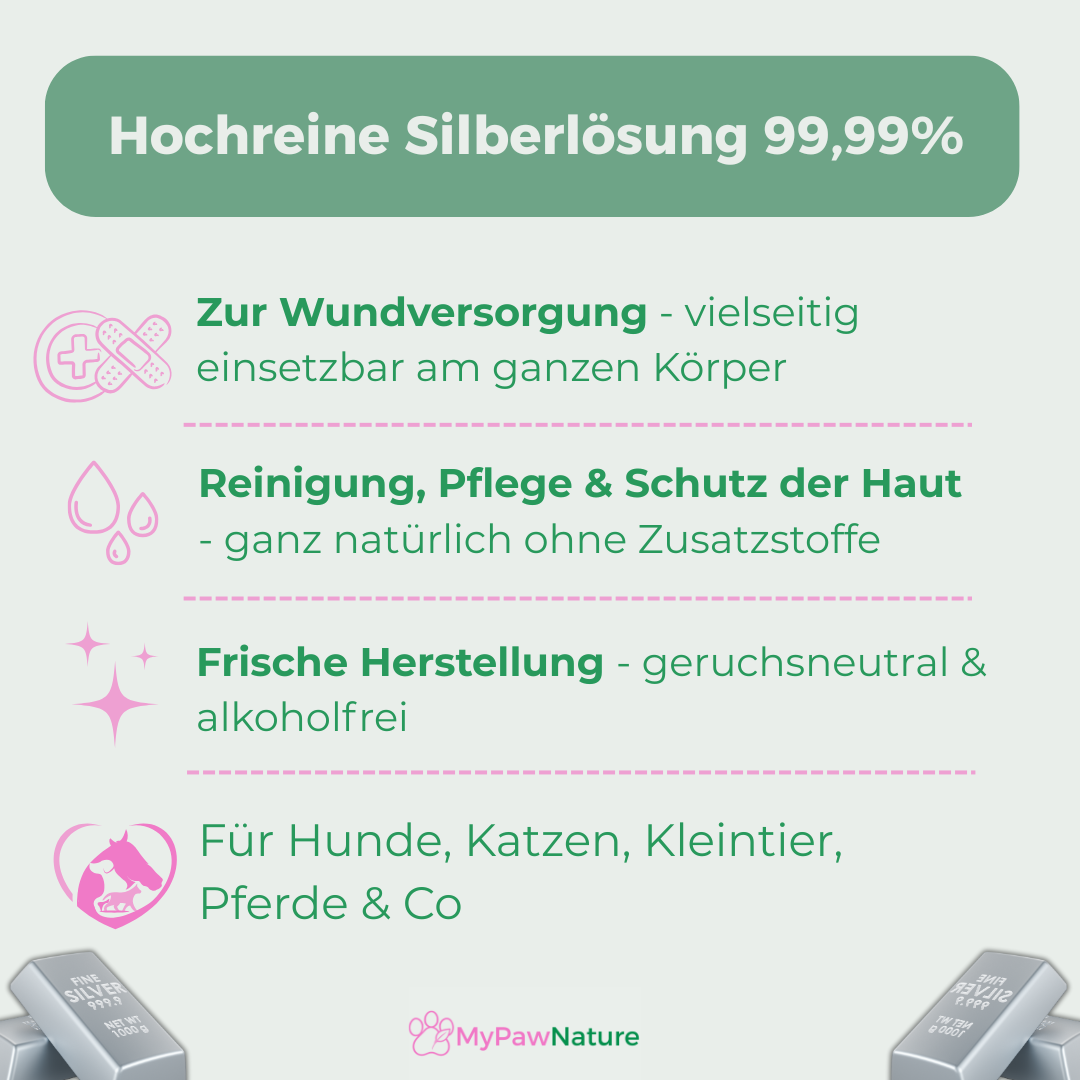 Silbersegen - Silberwasser Spray