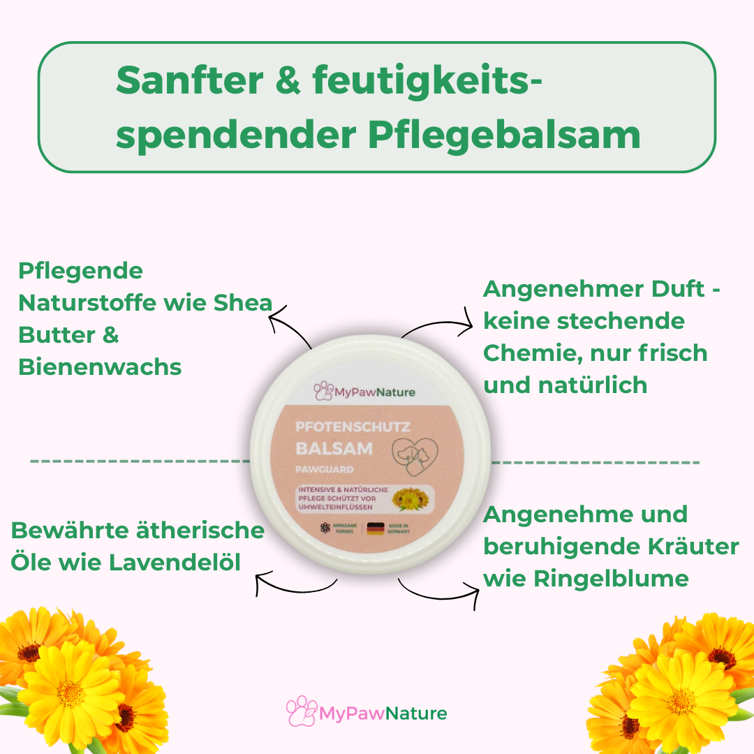 PawGuard - Pfotenbalsam