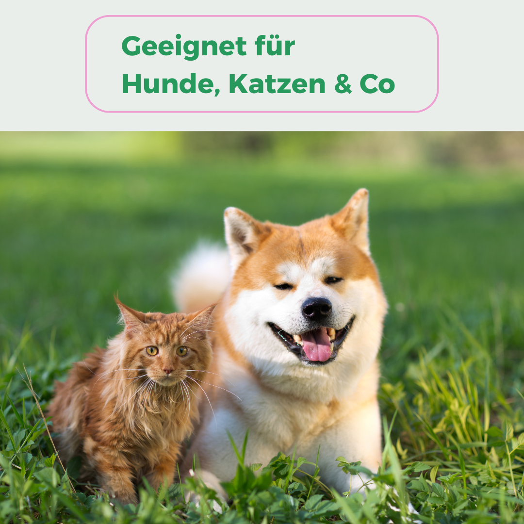 PawShield - Floh- & Zeckenspray
