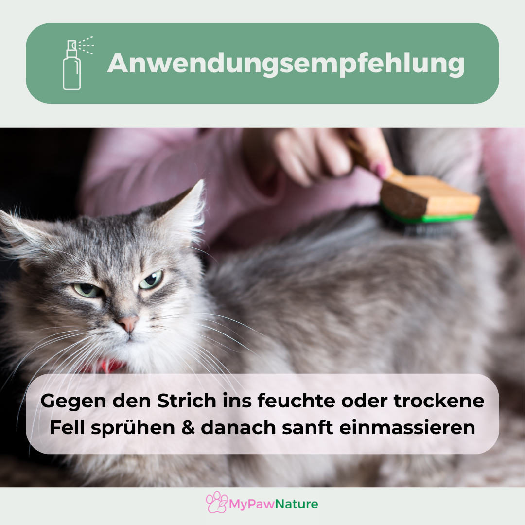 Kokoszauber Entfilzungs-Spray für Hunde & Katzen
