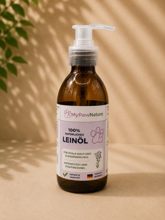 Leinöl - frisch gepresst