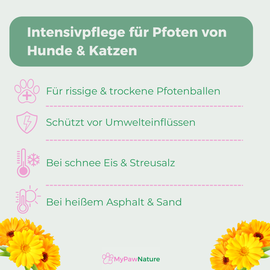 PawGuard - Pfotenbalsam