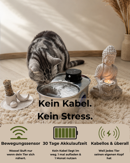 Sensor Trinkbrunnen aus 304 Edelstahl für Katzen und Hunde