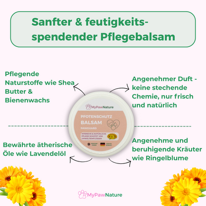 PawGuard - Pfotenbalsam
