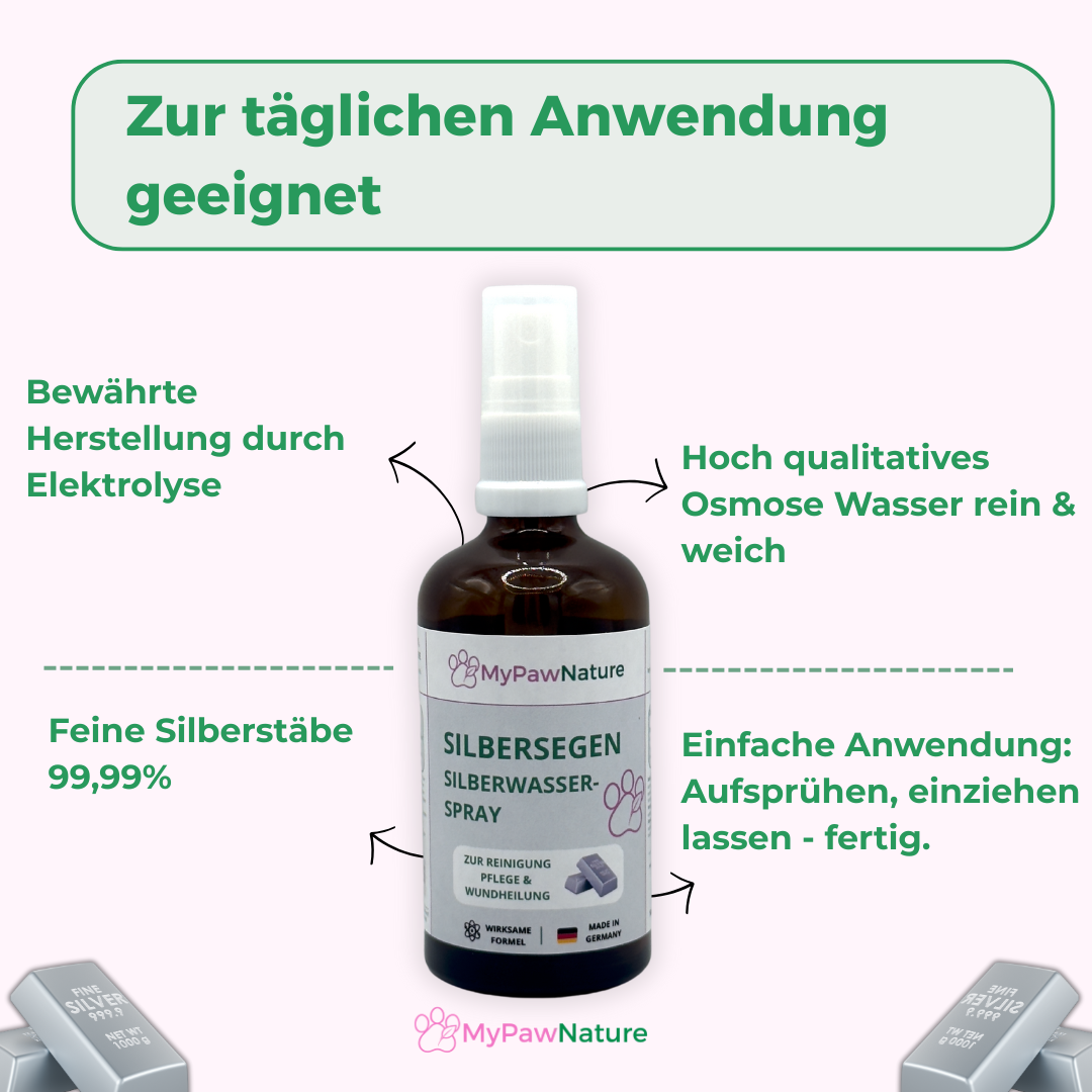 Silbersegen - Silberwasser Spray
