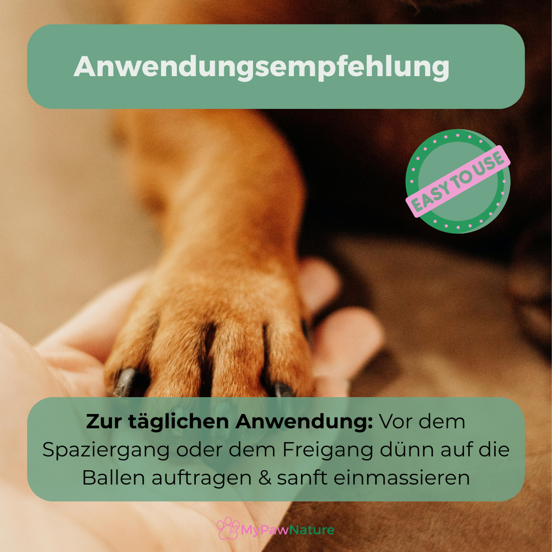 PawGuard - Pfotenbalsam