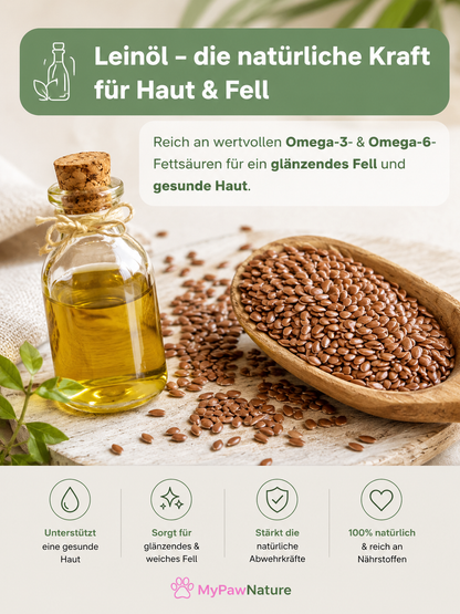 Leinöl - frisch gepresst