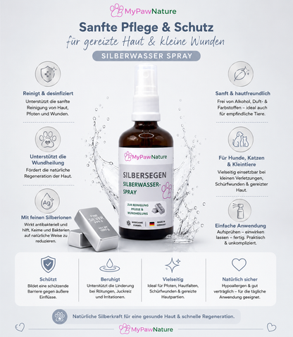 Silbersegen - Silberwasser Spray