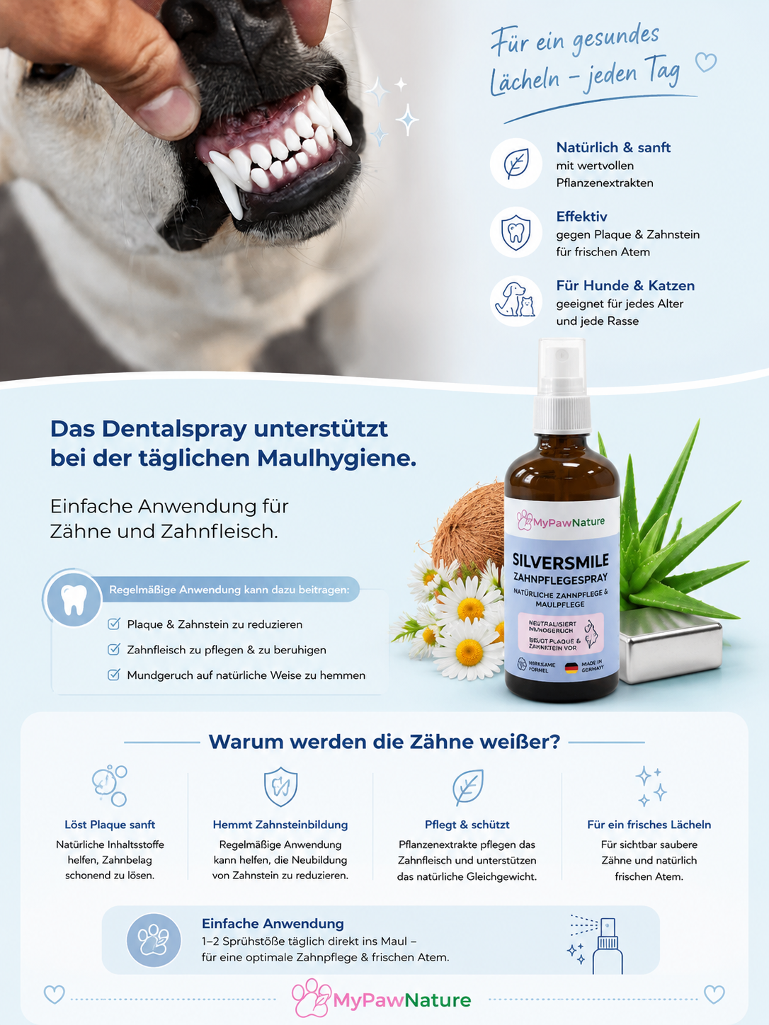 SilverSmile - Vorsorgende Zahnpflege für Hunde & Katzen