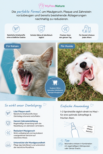 SilverSmile - Vorsorgende Zahnpflege für Hunde & Katzen