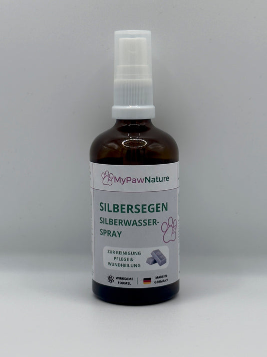 Silbersegen - Silberwasser Spray